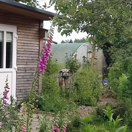 Fairschlafen - Gartenwohnung Buecken ภายนอก รูปภาพ