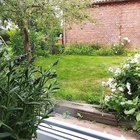 Fairschlafen - Gartenwohnung Buecken ภายนอก รูปภาพ