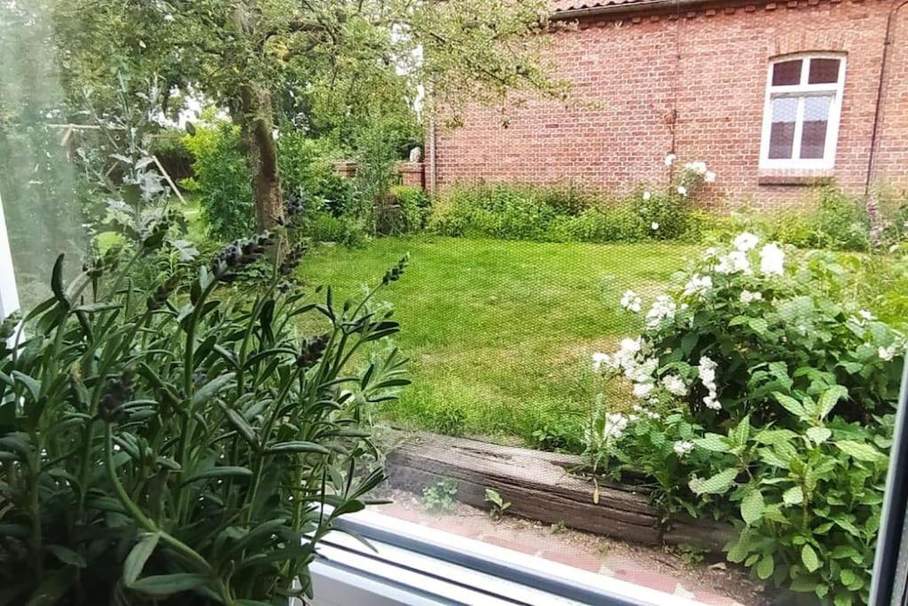 Fairschlafen - Gartenwohnung Buecken ภายนอก รูปภาพ